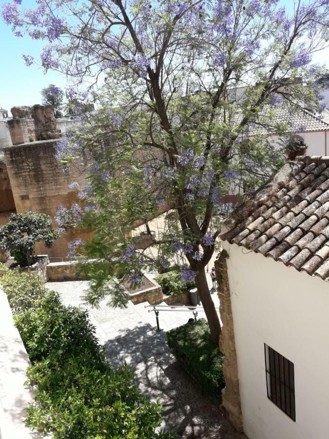 Los Tejares Del Alcazar Cordoba Ngoại thất bức ảnh